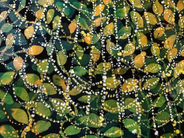 Spinnenweb met waterdruppels – maart&nbsp;’23