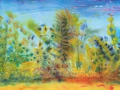 Planten zien – september&nbsp;’23