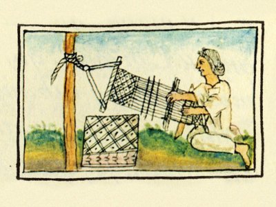 Onze voorouders/voormoeders