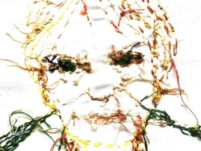 Women connected – december 2023, maar ook november&nbsp;2024